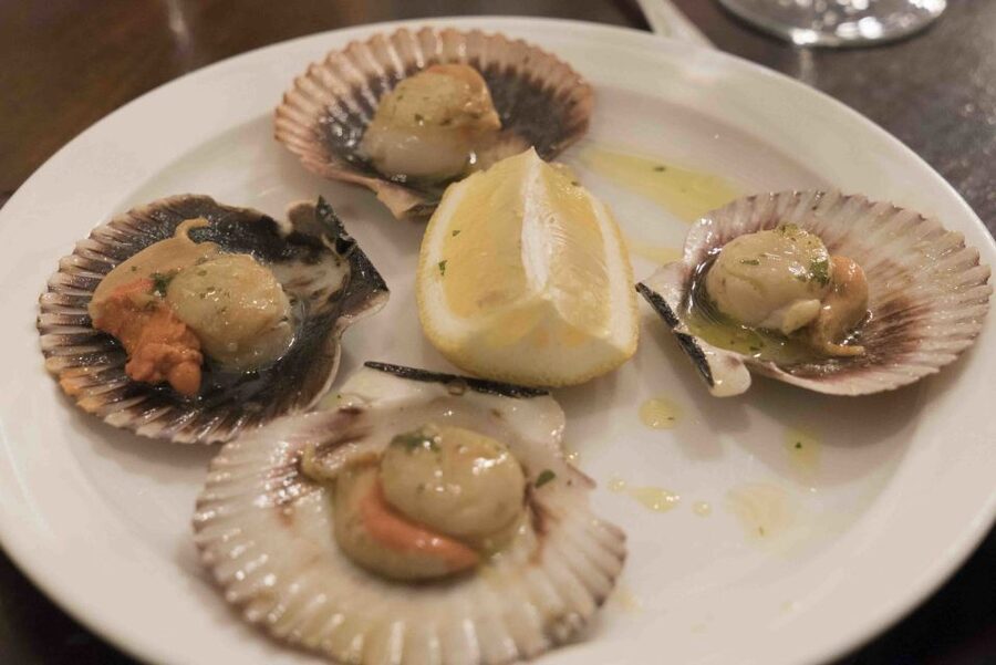 2.5-Hour Evening Tapas Tour through Madrid - The First Bar: Learning How Madrid Orders