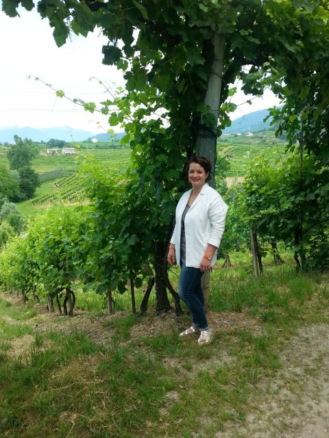 8-Hour Prosecco Wine and Tastings Tour from Venice or Padua - Key details at a glance