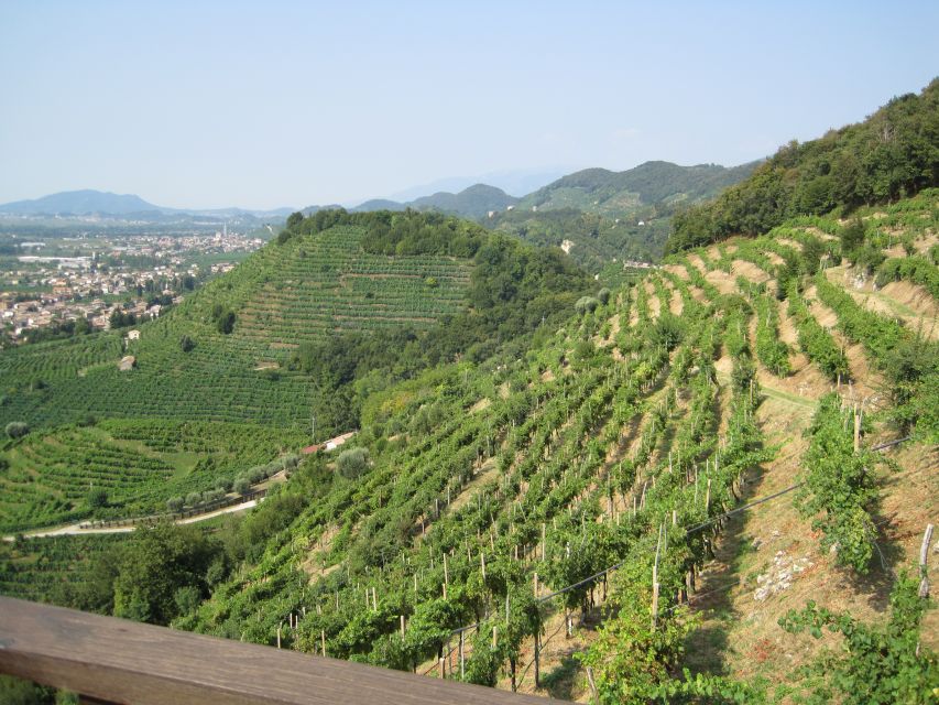 8-Hour Prosecco Wine and Tastings Tour from Venice or Padua - From Venice or Padua into Prosecco country