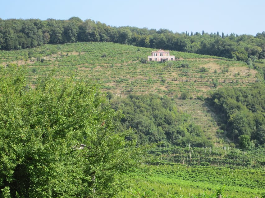 8-Hour Prosecco Wine and Tastings Tour from Venice or Padua - Second winery: a family view of Prosecco