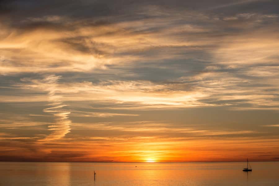 Adelaide: Half-day McLaren Vale & Glenelg Wine Tasting Tour - Who should book this McLaren Vale outing?