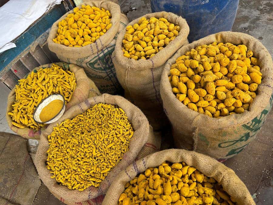 Agra: Street Food Tour with Spice Market on Tuk-Tuk Ride - Who should book this $16 experience?