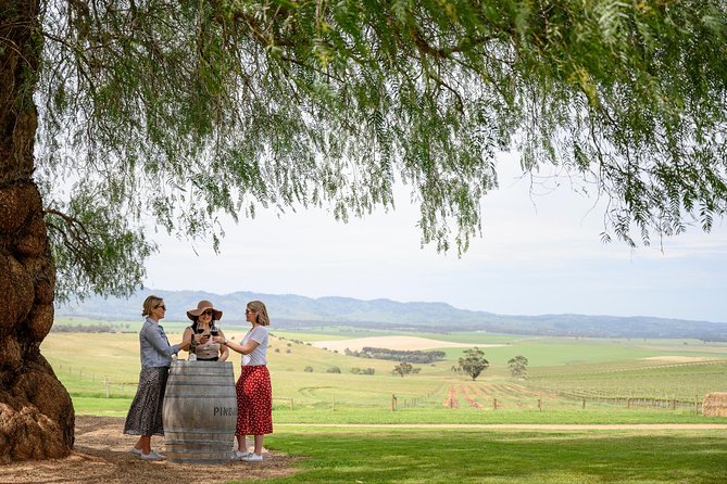 All Inclusive Barossa Valley Food and Wine Tour - Pindarie Winery and morning tea