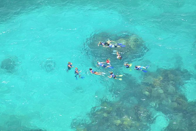 All Inclusive Caribbean adventure, reef snorkeling, Food & Drinks - Exploring Isla Mujeres without losing the group