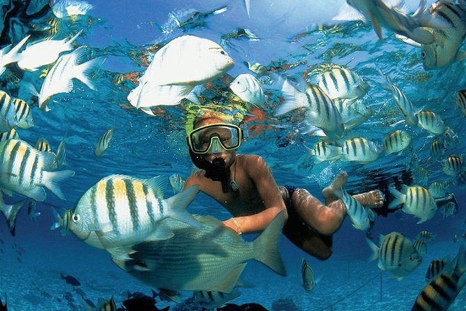 All Inclusive Caribbean adventure, reef snorkeling, Food & Drinks - Lunch at the beach club