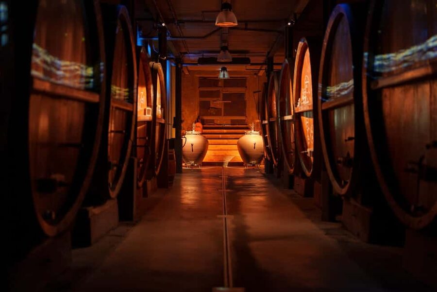 Alsace: Alsatian Wine Tasting Tour and Alsatian Lunch - Who will enjoy this experience most?