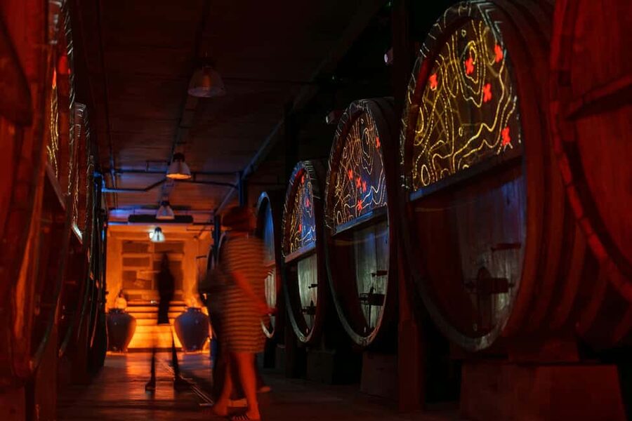Alsace: Alsatian Wine Tasting Tour and Alsatian Lunch - Inside the cellar with 1850 oak barrels