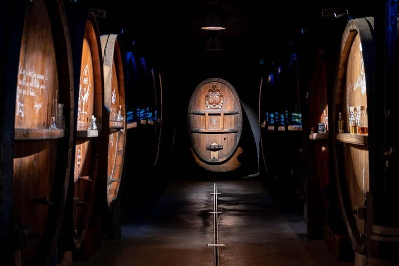 Alsace: Alsatian Wine Tasting Tour and Alsatian Lunch - Is $74 a fair price?