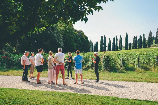 Amarone Wine-tasting Tour from Verona with Private Transportation - A small group makes the afternoon easier
