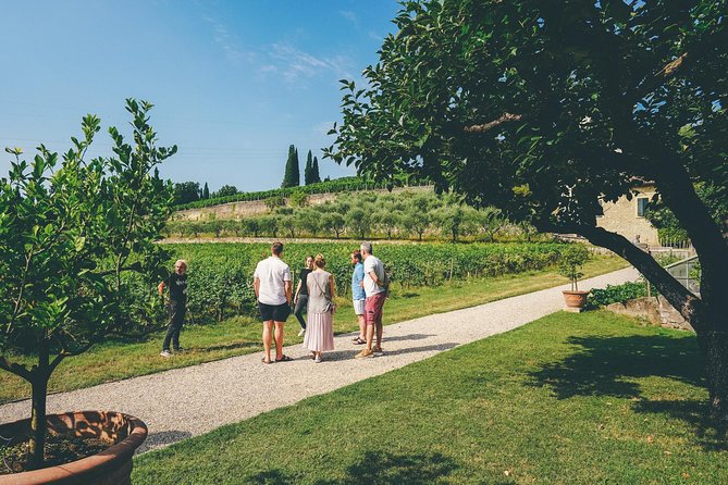 Amarone Wine-tasting Tour from Verona with Private Transportation - What to expect from the guides