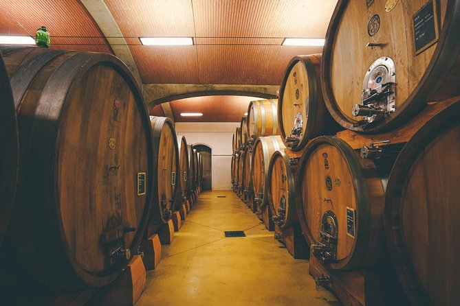 Amarone Wine-tasting Tour from Verona with Private Transportation - Practical details before you book