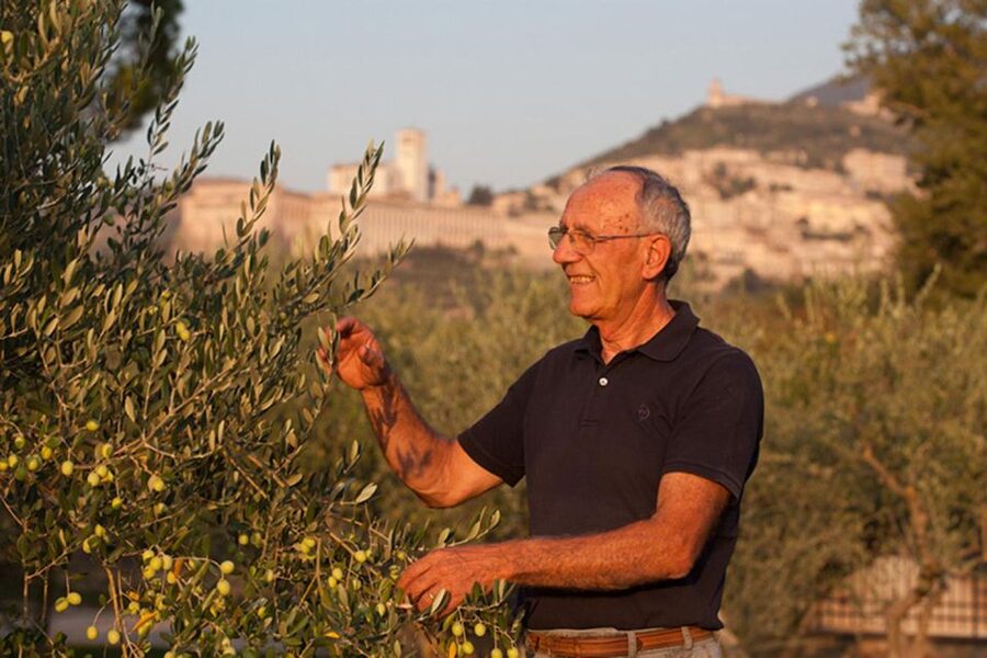 Assisi: Wine tasting, gourmet pairing, walk in the vineyards - Food pairings that make the price work
