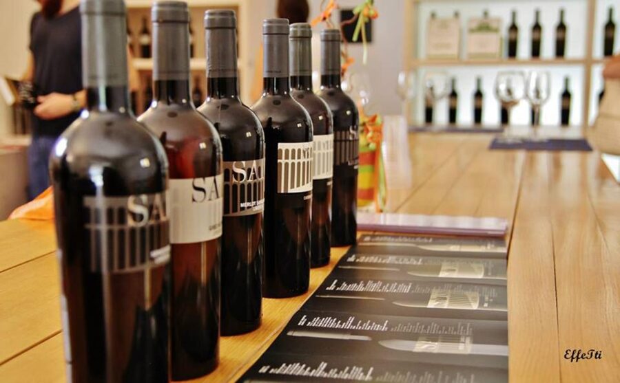 Assisi: Wine tasting, gourmet pairing, walk in the vineyards - The souvenir and what you take home
