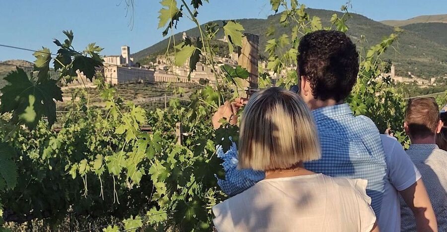 Assisi: Wine tasting, gourmet pairing, walk in the vineyards - Arriving at the SAIO Wine Shop