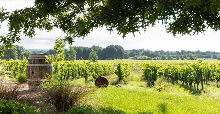At the gates of Toulouse : Gourmet Tour - Walk and Tastings - Key points to know before you go