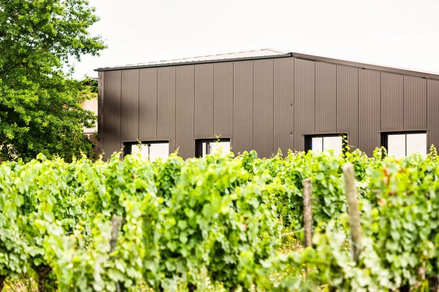 At the gates of Toulouse : Gourmet Tour - Walk and Tastings - Why Fronton wine country makes a good short outing