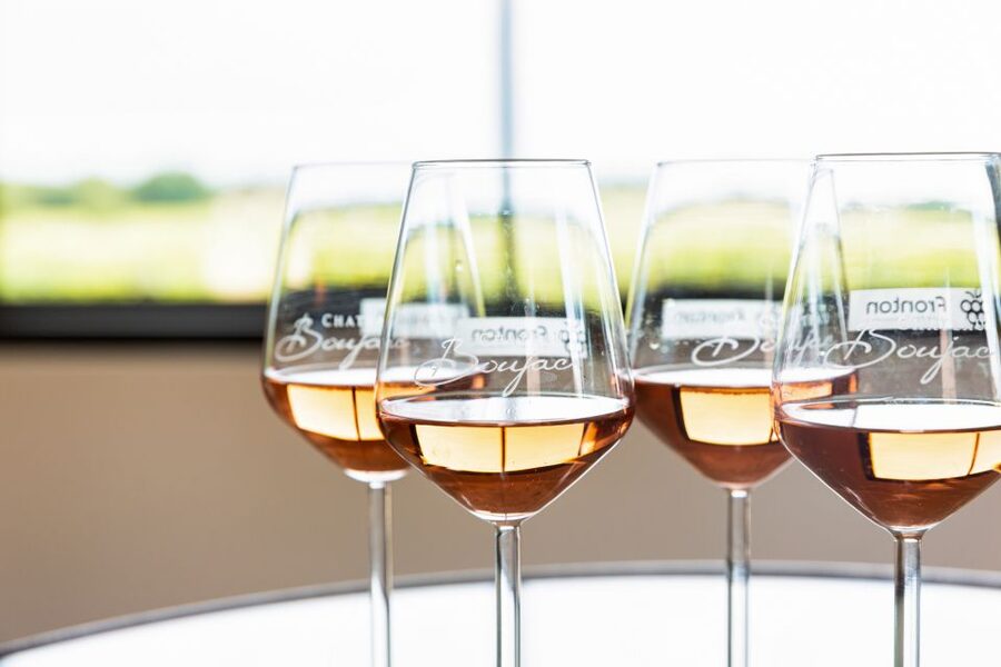 At the gates of Toulouse : Gourmet Tour - Walk and Tastings - Who will enjoy this Fronton experience?