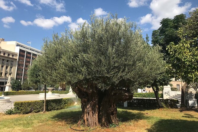 Athens by E-Bike: Monuments, Food & Transfers (Cruise Tour) - The Presidential Mansion and the Change of the Guards