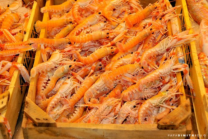 Athens Shore Excursion: Small-Group Food Tour - Koulouri, loukoumades, and the Greek morning table