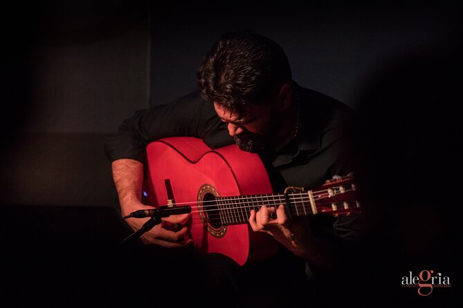 Authentic flamenco show. Alegria and gastronomy Malaga - A compact flamenco theatre near Malaga’s port