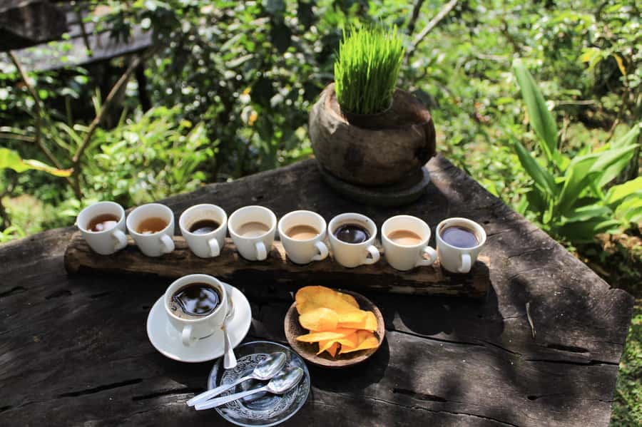 Bali: Authentic Culinary Street Food Experience Tour - Starting with Bali’s most important food: Babi Guling