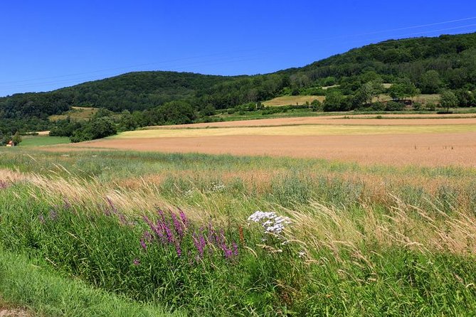 Bamberg Countryside Breweries Beer Hike Food Experience - Why this beer hike is different from a Bamberg pub crawl