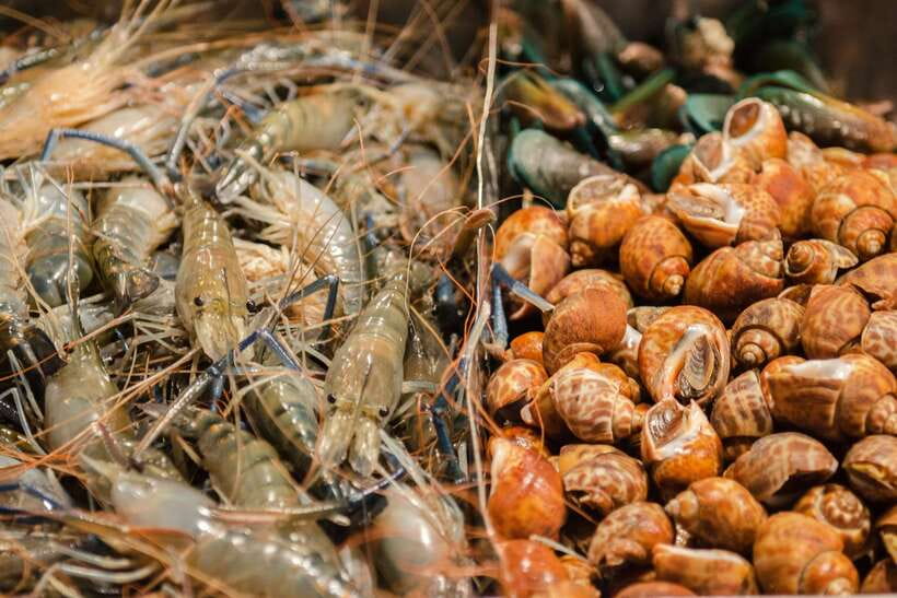 Bangkok: Chinatown Night Food Tour - What makes this Bangkok food tour worth considering