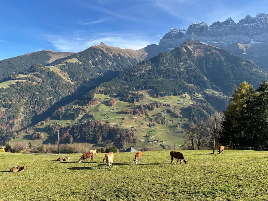 Basel: Local Cheese Tasting Tour with a Cheese Sommelier - Learning why Swiss cheese tastes different