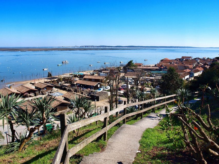 Bay of Arcachon: Guided Food Tour - Who should book this experience?