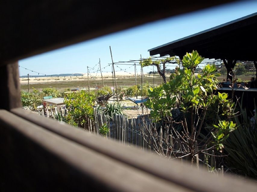 Bay of Arcachon: Guided Food Tour - The walking is manageable, but not effortless