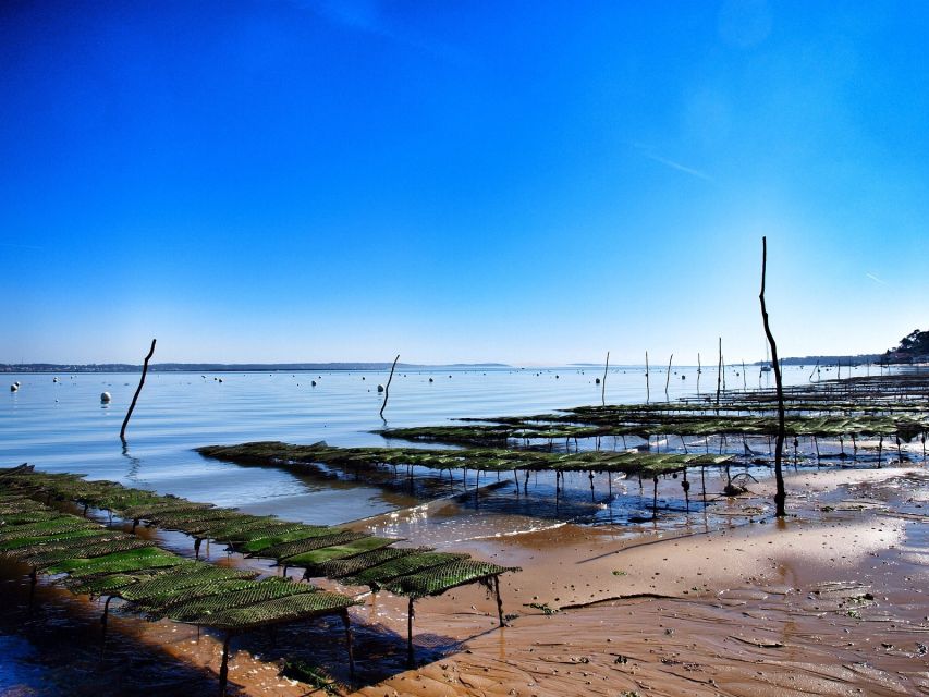 Bay of Arcachon: Guided Food Tour - Is $76 a fair price?