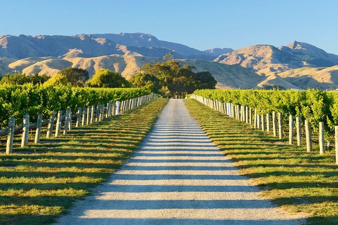 Beyond the Vines - Full-Day Marlborough Wine Tasting Tour - Why this tour works so well from Picton
