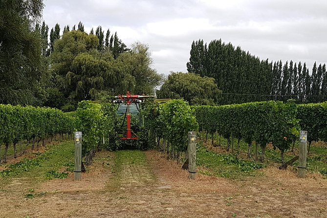 Beyond the Vines - Full-Day Marlborough Wine Tasting Tour - Is $136.53 good value?