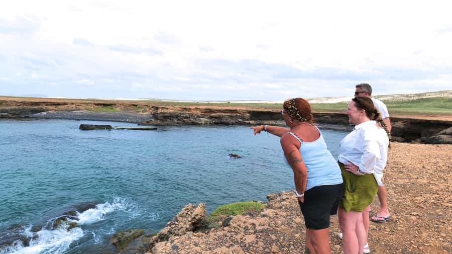 Boa Vista: Shark, Turtles, Cave, Sandboarding & Tasting Tour - Is $70 a fair price?