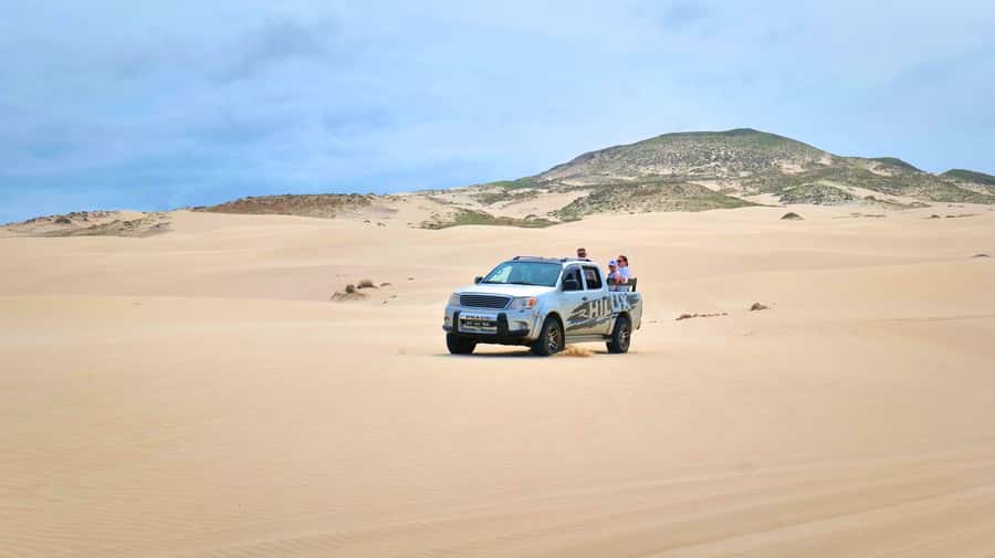 Boa Vista: Shark, Turtles, Cave, Sandboarding & Tasting Tour - Turtle Bay and Shark Bay: nature sets the schedule