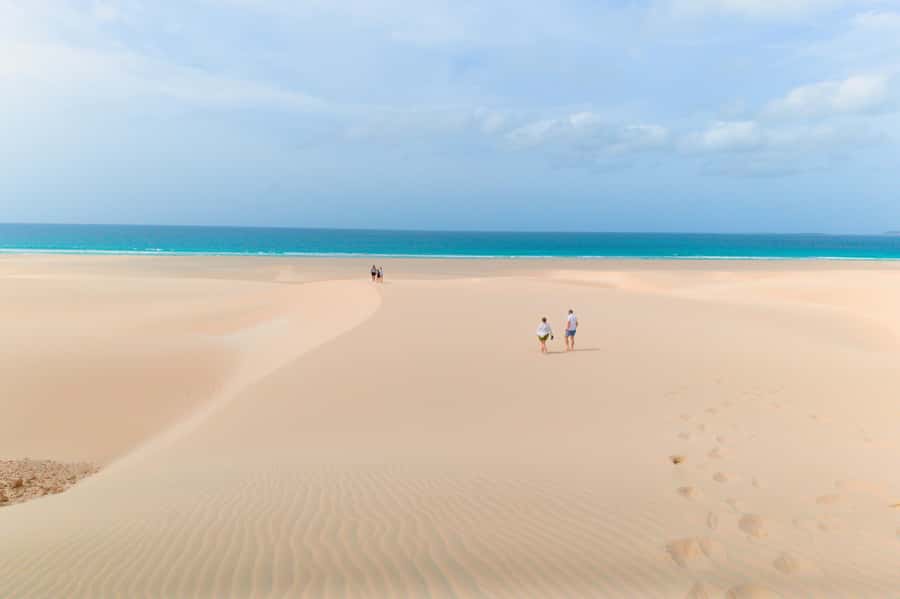 Boa Vista: Shark, Turtles, Cave, Sandboarding & Tasting Tour - Guides who add humor and local context