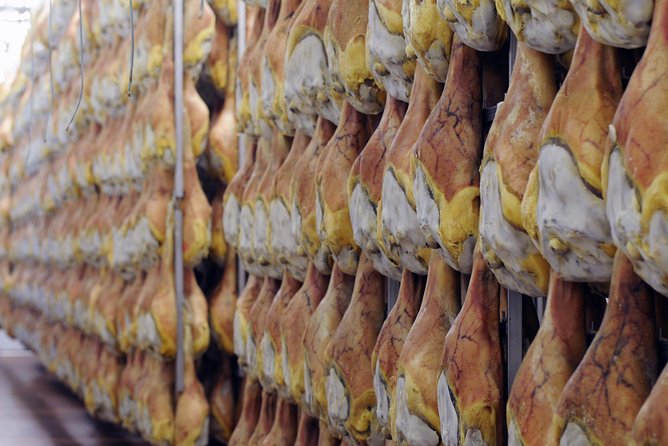 Bologna Food Experience: Factory tours & Family-Style Lunch - The guides make the day work