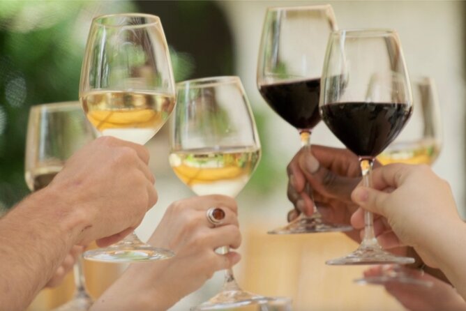 Bordeaux : Full Day Wine Tastings & Gourmet Lunch - Is $236.20 a fair price?