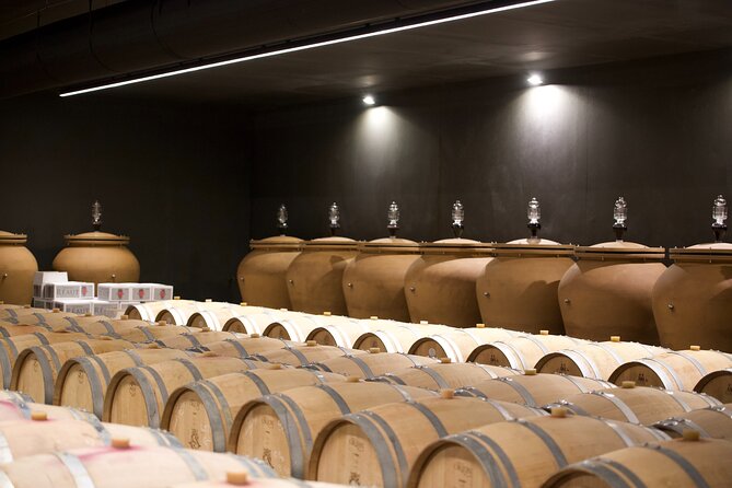 Bordeaux : Full Day Wine Tastings & Gourmet Lunch - The ride back to Bordeaux