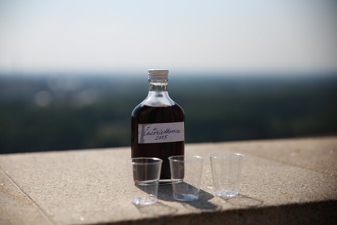 Bratislava Foodie Tour - Bratislava beyond the postcard center