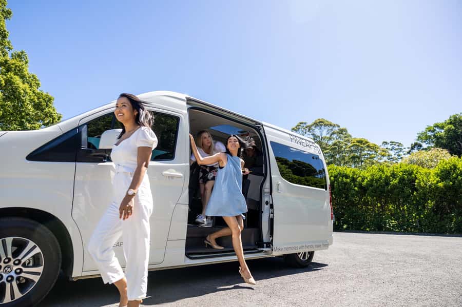 Brisbane: Boutique Winery Tour with Gourmet Lunch - Why this Tamborine Mountain tour works