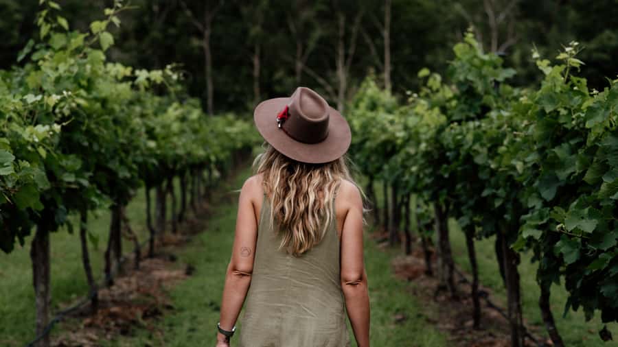 Brisbane: Boutique Winery Tour with Gourmet Lunch - Hampton Estate and the first taste of Queensland wine