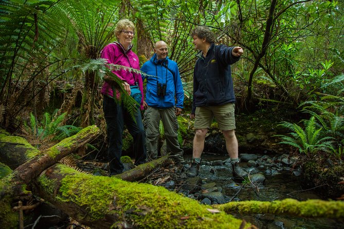 Bruny Island Traveller - Gourmet Tasting and Sightseeing Day Trip from Hobart - What the Bruny Island day is really like