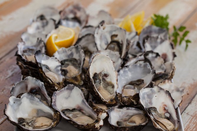 Bruny Island Traveller - Gourmet Tasting and Sightseeing Day Trip from Hobart - Rainforest walks, history, and extra island stops