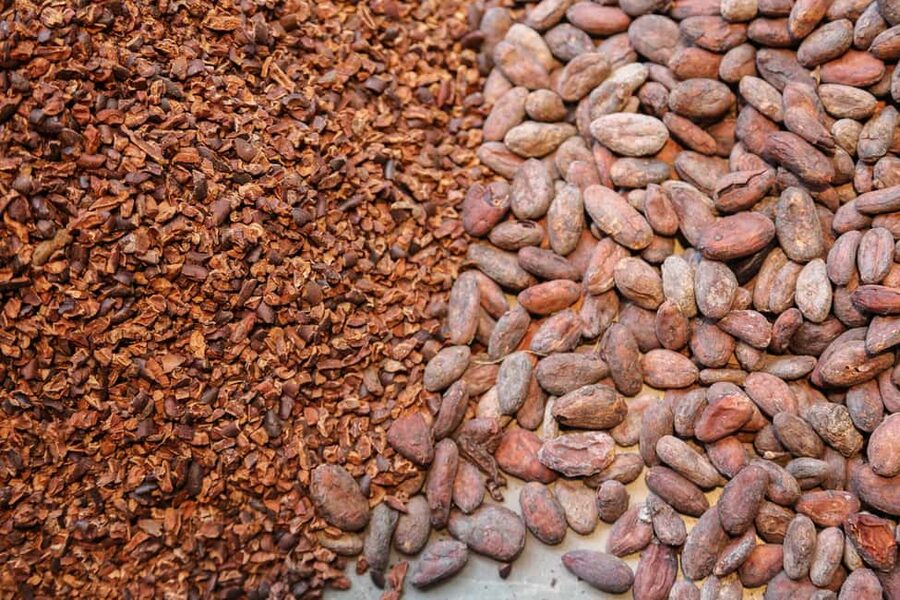 Brussels: Chocolate Appreciation and Tasting Walking Tour - Practical advice before you go