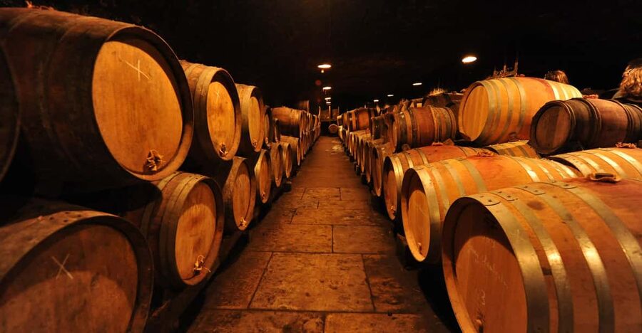 Burgundy Wines Full-Day Tasting Tour from Dijon - Key points at a glance