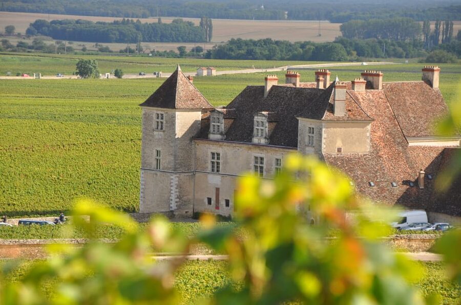 Burgundy Wines Full-Day Tasting Tour from Dijon - Why this Dijon wine tour works so well