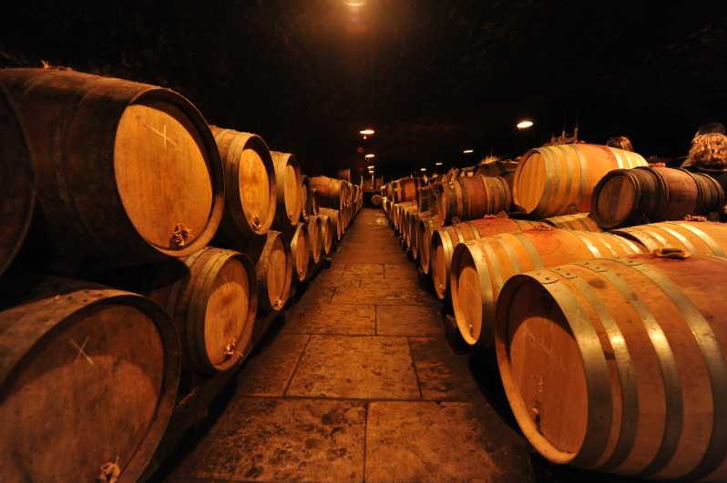 Burgundy Wines Full-Day Tasting Tour from Dijon - Inside a family-run estate
