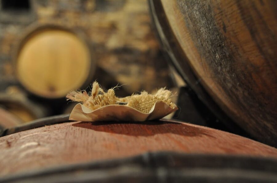 Burgundy Wines Full-Day Tasting Tour from Dijon - Timing, transport, and practical value