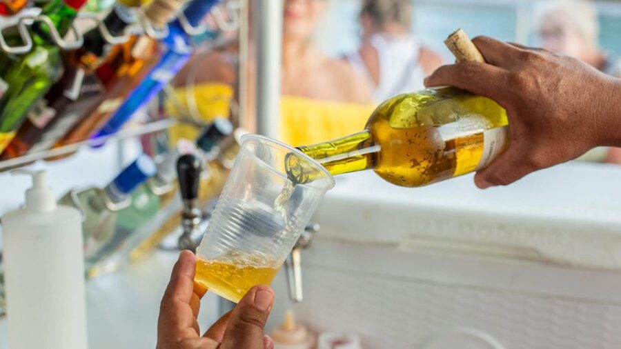 Cabo San Lucas: 2 Hour Sunset Cruise with Food and Wine - A sunset paced around 20 golden minutes